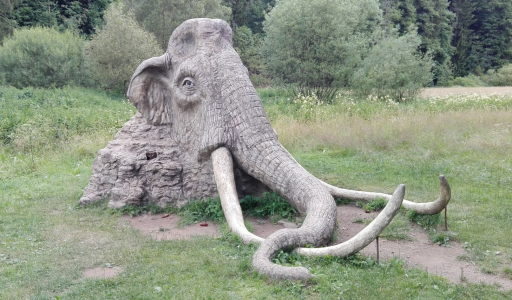 mamut Michala Olšiaka