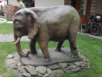 slon Michala Olšiaka v soukromé zahradě