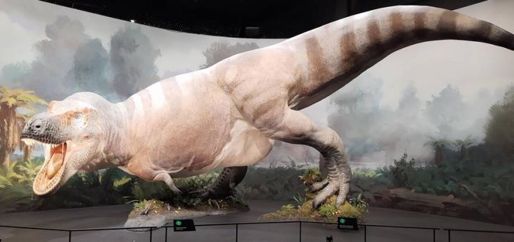 Dinosauria Praha 6